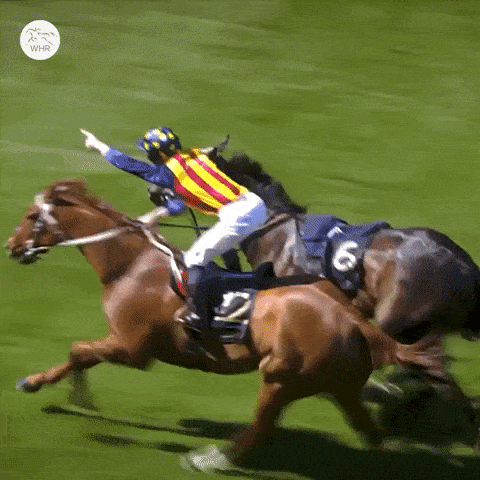 Happy Celebration GIF by World Horse Racing